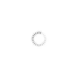 131246520833 C660-1